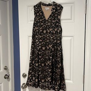 Collared Lace Dress